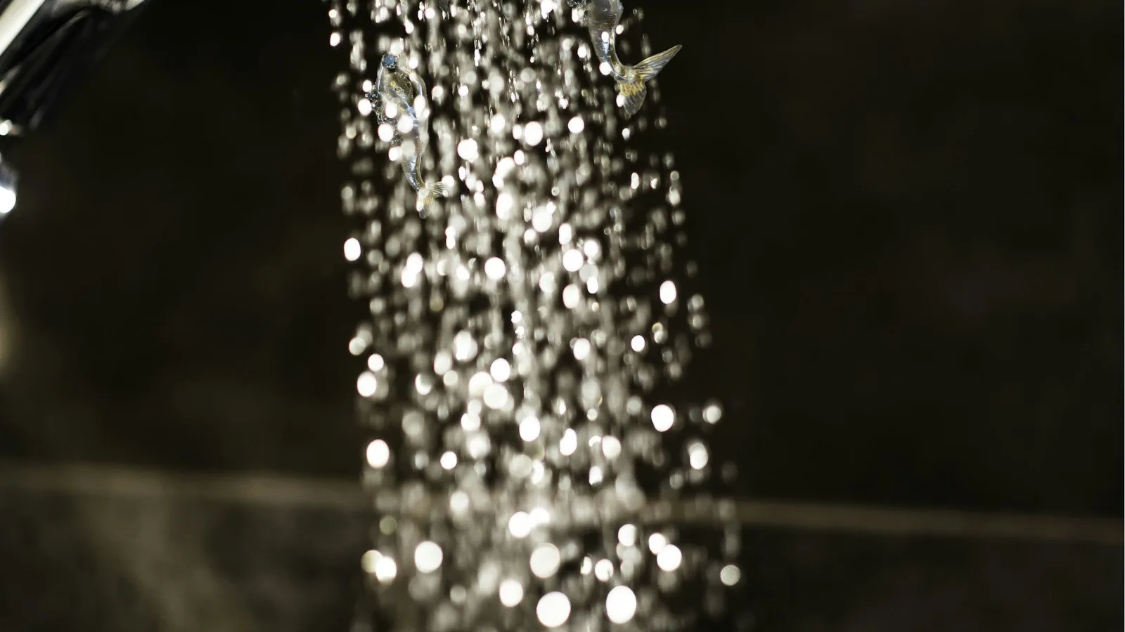 A chrome shower head running warm water in a bright tiled bathroom